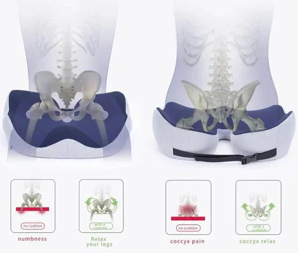 Adjustable Memory Foam Sit Bone Relief Seat Cushion-univazo- and 9806430208266, Adjustable Memory Foam Sit Bone Relief Seat Cushion, , univazo, age uk pressure cushions, coccy cushion, coccyx cushion, coccyx cushion for office chair, Cushions, donut cushions, donut seat cushion, doughnut cushion, driving cushion, for Lower Back, Hamstrings, Hip, orthopedic cushion for sciatica, piles cushion, Pressure Relief Ergonomic & Orthopedic Seat Cushion, Sciatica Pain, sciatica seat cushion for car, Tailbone, univazo