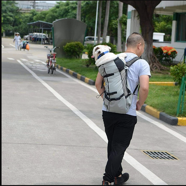 Sac à dos de transport pour chien