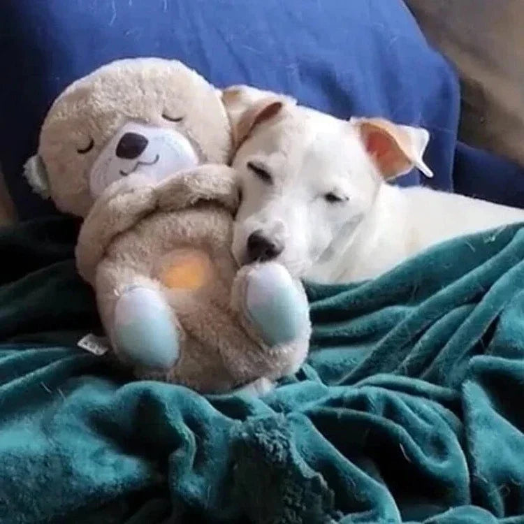 Peluche loutre apaisante