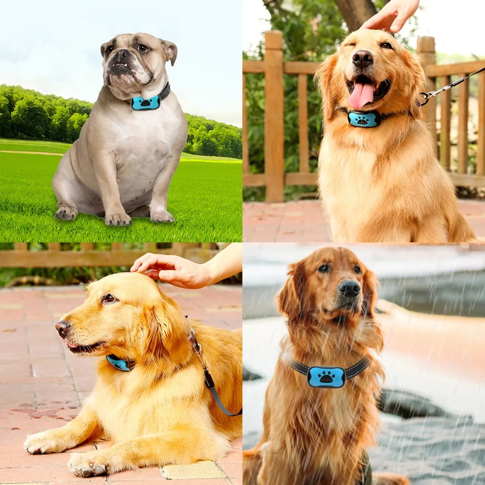 BarkBuddy Anti-Bark Dog Collar-univazo-0710365457073 and QASUK502974727129709806426669322, BarkBuddy Anti-Bark Dog Collar, , univazo, sale, univazo