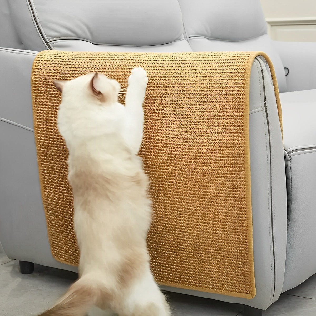 Cat Scratcher-univazo-Small: 12" x 16"- and QASUK502973052684909806366966026, Cat Scratcher, , univazo, Cat Scratcher