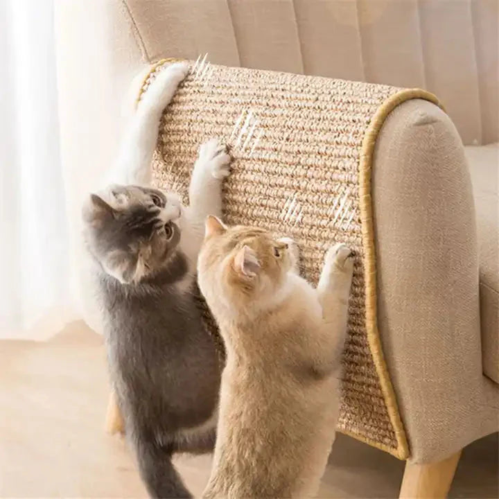 Cat Scratcher-univazo- and 9806366966026, Cat Scratcher, , univazo, Cat Scratcher