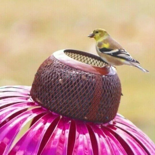 Mangeoire à oiseaux en forme d'échinacée